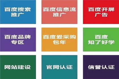 信息流广告投放公司案例策略解析